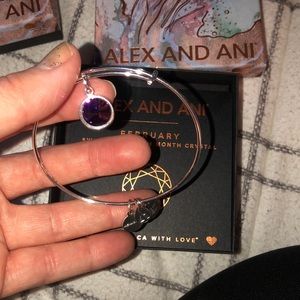 February Birthstone Alex and Ani Bracelet